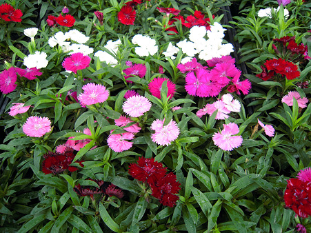 DSCN1362_edited