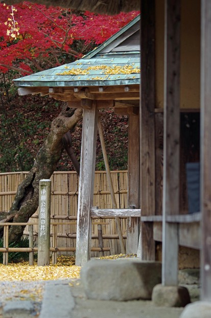 IMGP3480光市、伊藤公資料館、産湯の井戸4