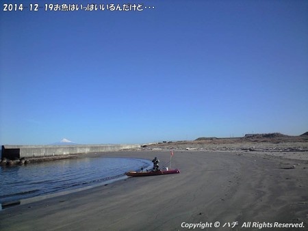 2014-12-19お魚はいっぱいいるんだけど・・・ (4)