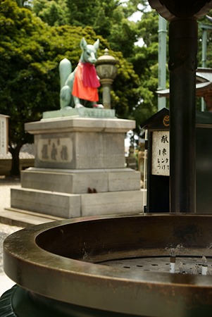 願眺