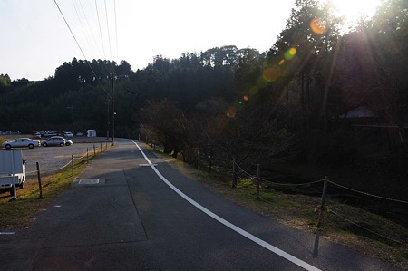 1001020910_DSC_6196