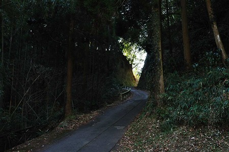 1001020948_DSC_6242