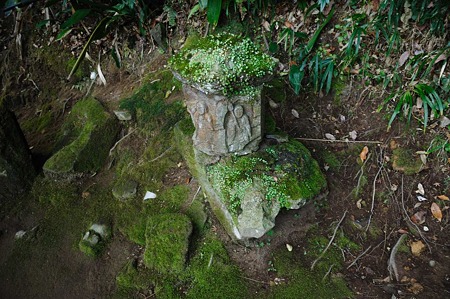 1001021045_DSC_6421