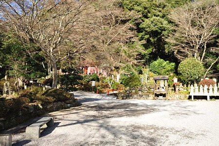 1001031337_DSC_8418