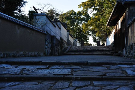 1001031557_DSC_8634