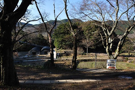 1001041445_DSC_9972