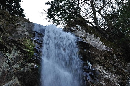 1001041520_DSC_0014
