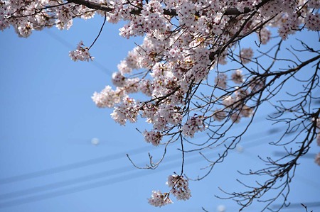 1004081057_DSC_1935