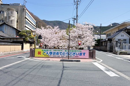 1004081213_DSC_1989