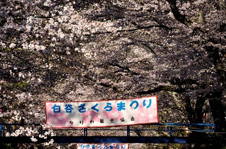 1004081640_DSC_2632