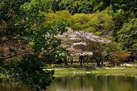 1005031034_DSC_3092