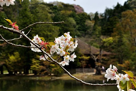 1005031048_DSC_3143