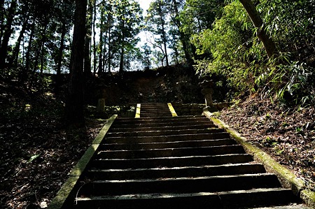 1005031248_DSC_3234