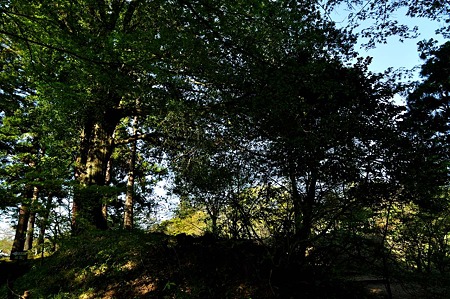 1005031617_DSC_3901