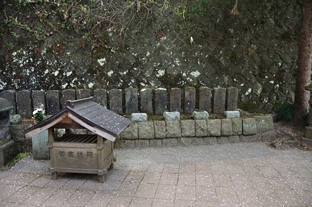 1005050825_DSC_5033