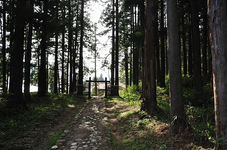 1005051555_DSC_5943