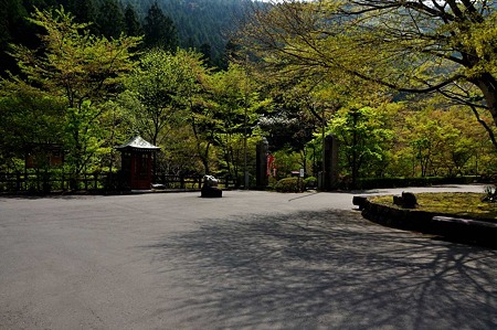 1005060933_DSC_6191