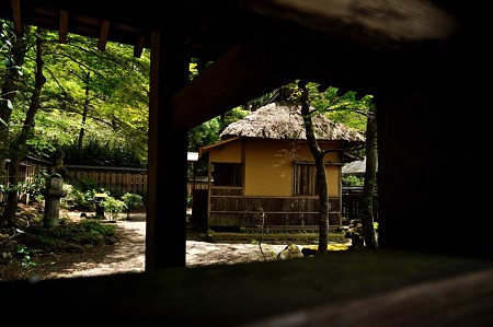1005061155_DSC_6675