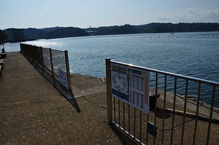 1009191445_DSC_2056