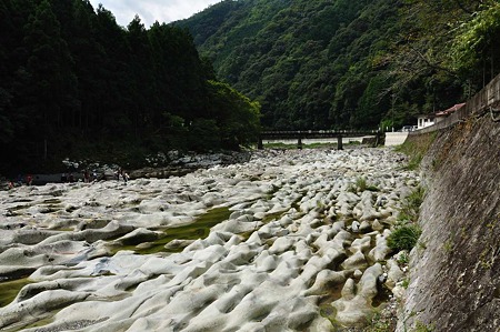1009201138_DSC_2833