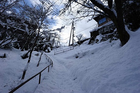 1101011337_DSC_6456