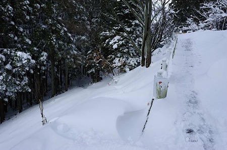 1101011411_DSC_6526