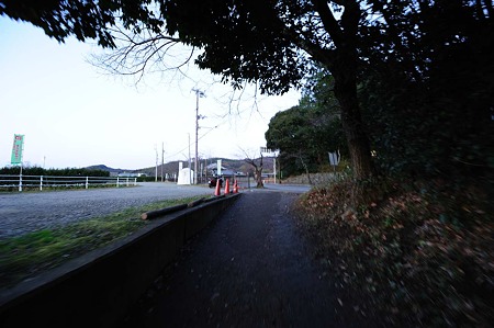1101021703_DSC_7519