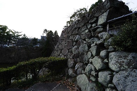 1101031235_DSC_7976