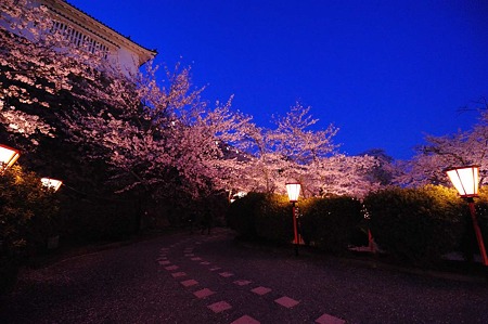 1104121903_DSC_9649