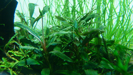 DSCF7158