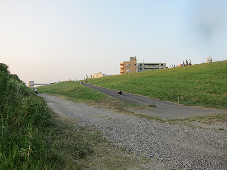 IMG_0833