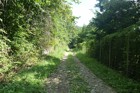 P1020092