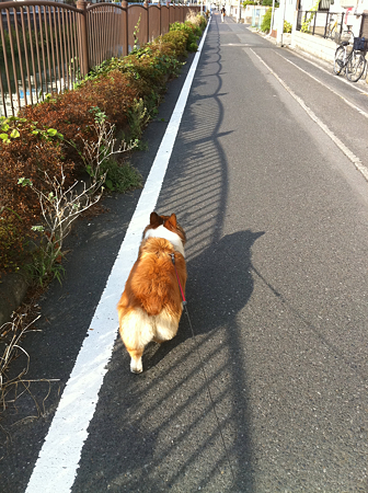 写真 70