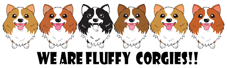 corgies5