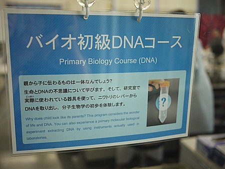 DNAセミナー