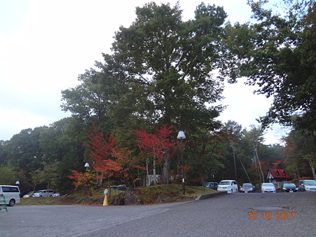 DSC00105
