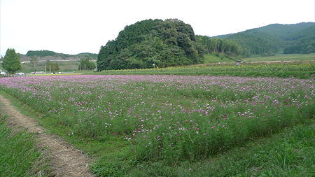 正助ふるさと村(2)