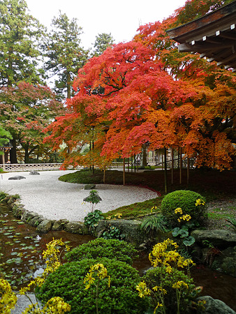 雷山千如寺大悲王院(23)