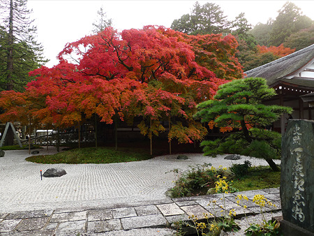 雷山千如寺大悲王院(24)
