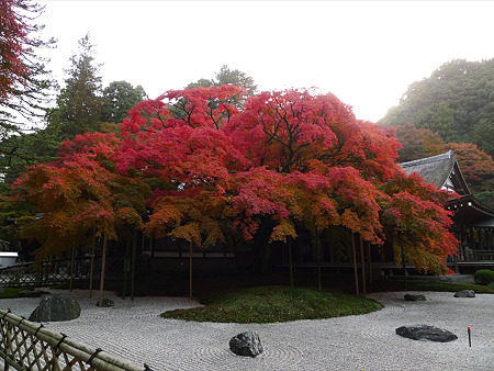 雷山千如寺大悲王院(42)