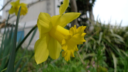 P1080400
