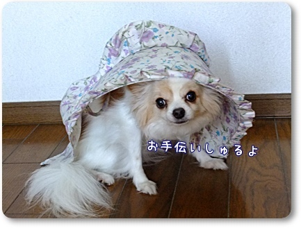 お手伝い