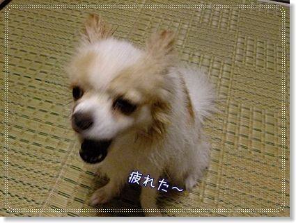 疲れた
