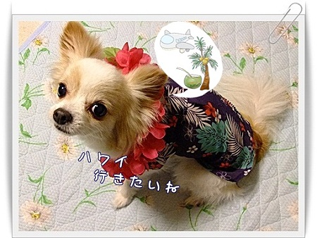 ハワイ