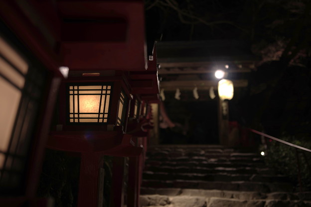 Photos: 貴船神社の夜