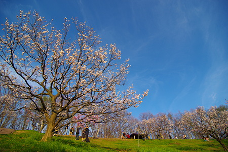 IMGP0702