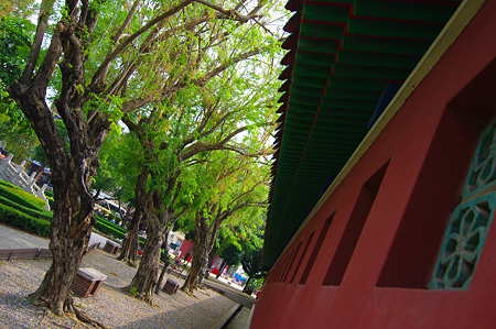 IMGP5821