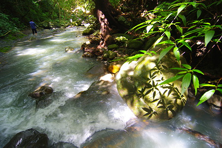 IMGP0794