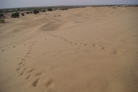 IMGP8094