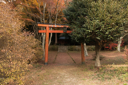 2014紅葉の鳥見山公園・1